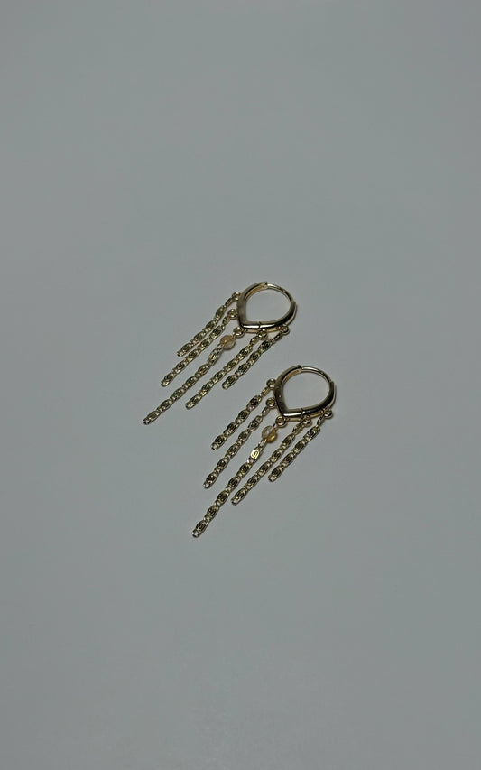 Guayaba gold Earrings - 14k gold plated