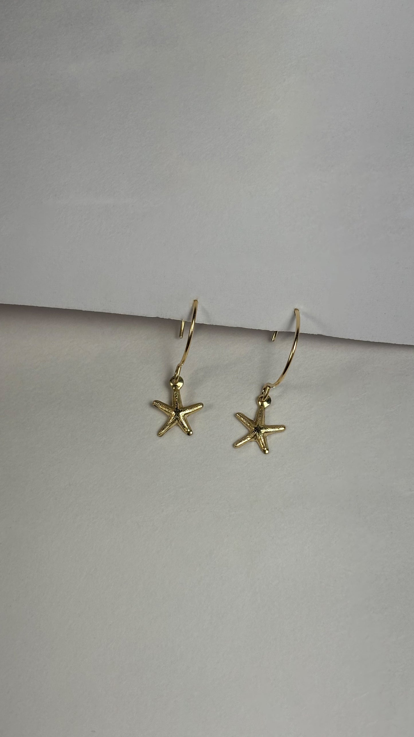 Sea star gold filled 14/20 earrings - Guayaba