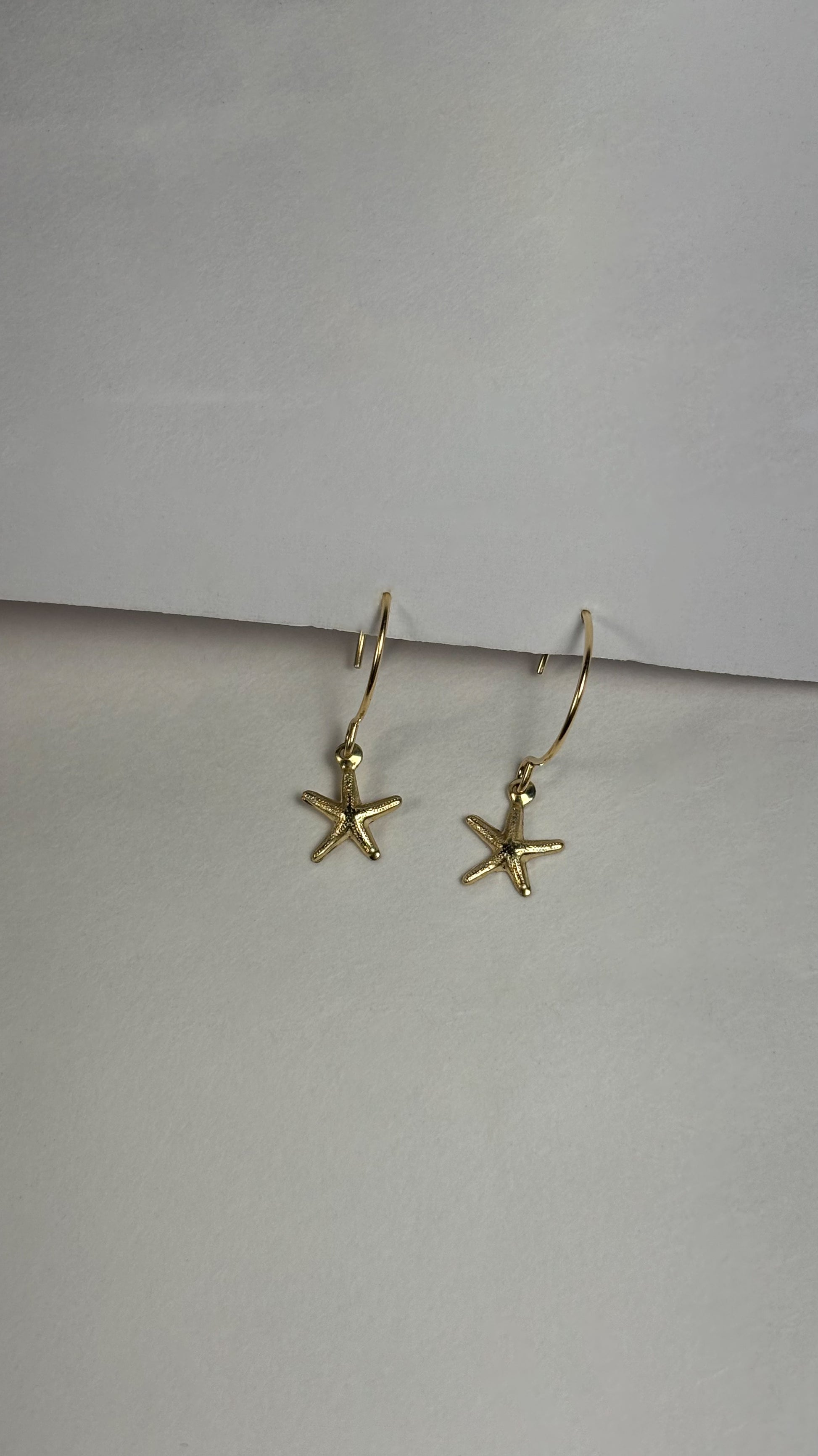 Sea star gold filled 14/20 earrings - Guayaba