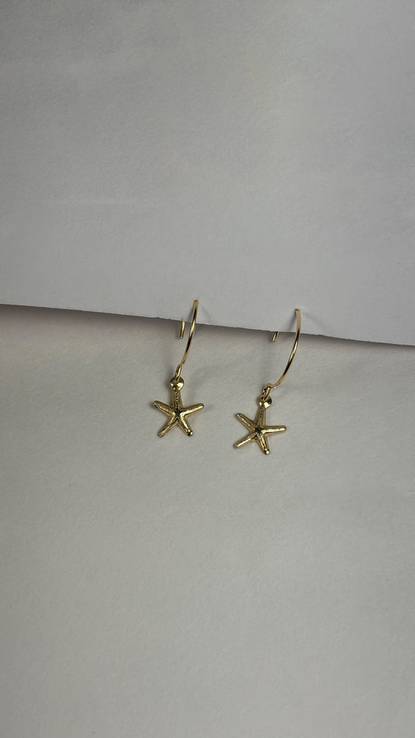 Sea star gold filled 14/20 earrings
