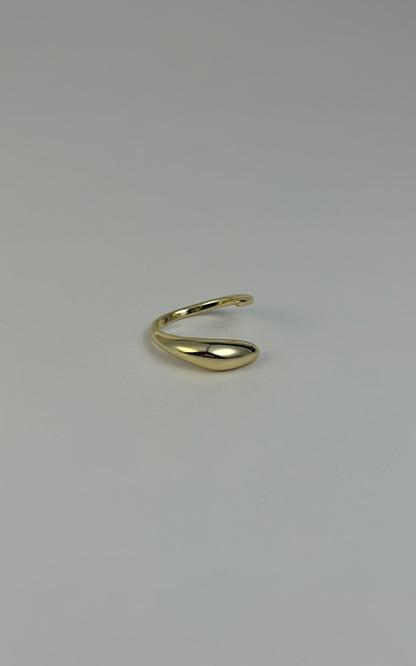 Simple 14k gold plated ring - Guayaba
